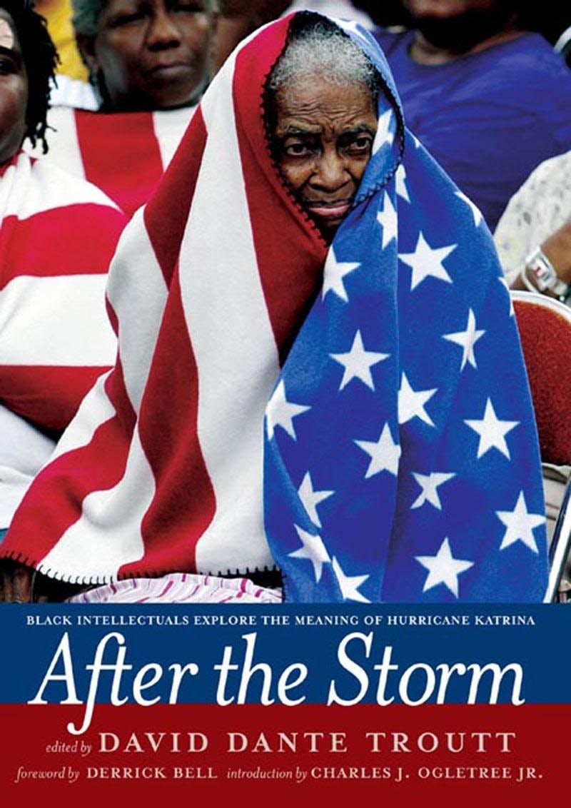Book cover image for After the Storm ISBN: 9781595582034